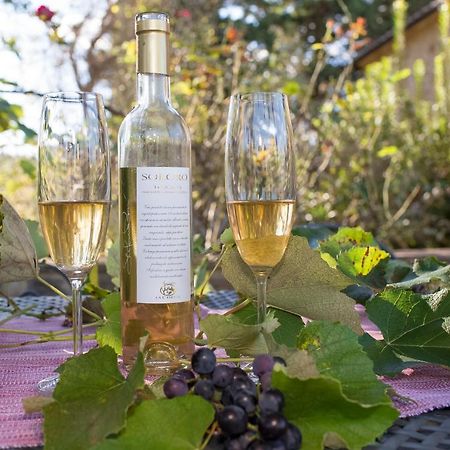 Podere La Casetta - Casa Di Campagna Montaione Kültér fotó
