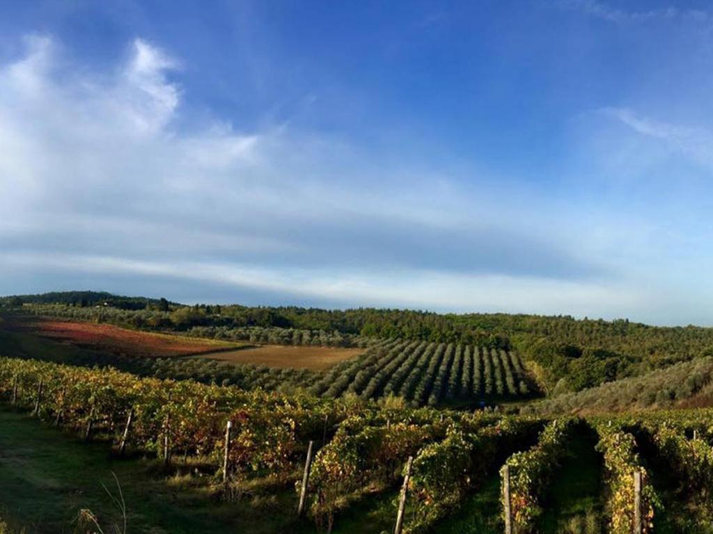 Podere La Casetta - Casa Di Campagna Montaione Kültér fotó