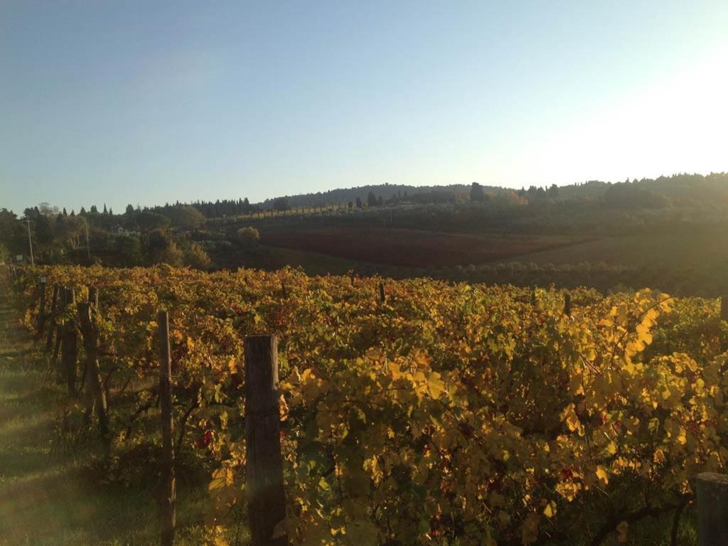 Podere La Casetta - Casa Di Campagna Montaione Kültér fotó