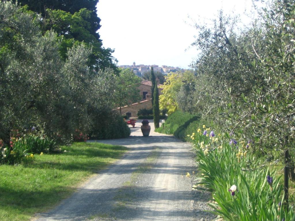 Podere La Casetta - Casa Di Campagna Montaione Kültér fotó